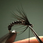 soft hackle